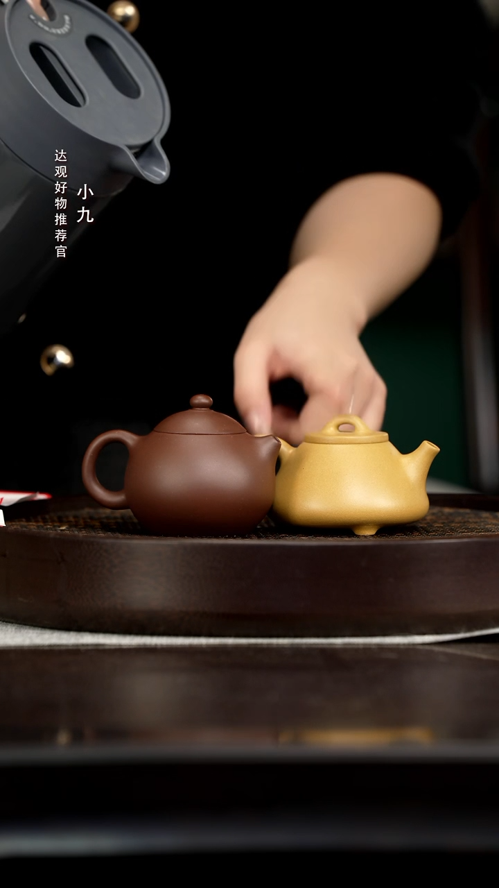 九DG211沈燕小文旦老紫泥150+九DG17湛明堂褚青小心舟黄金段130