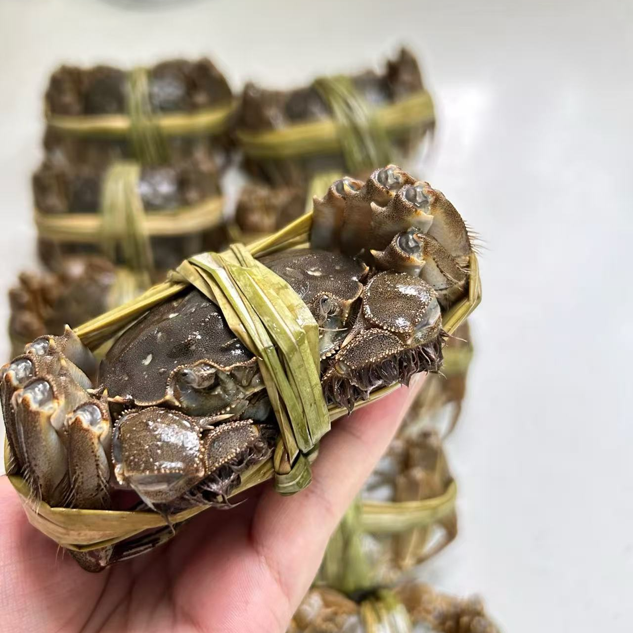 大闸蟹公蟹一只 （默认不绑，要绑请备注） 约100g-225g（约2-4.5两）左右 规格自选 