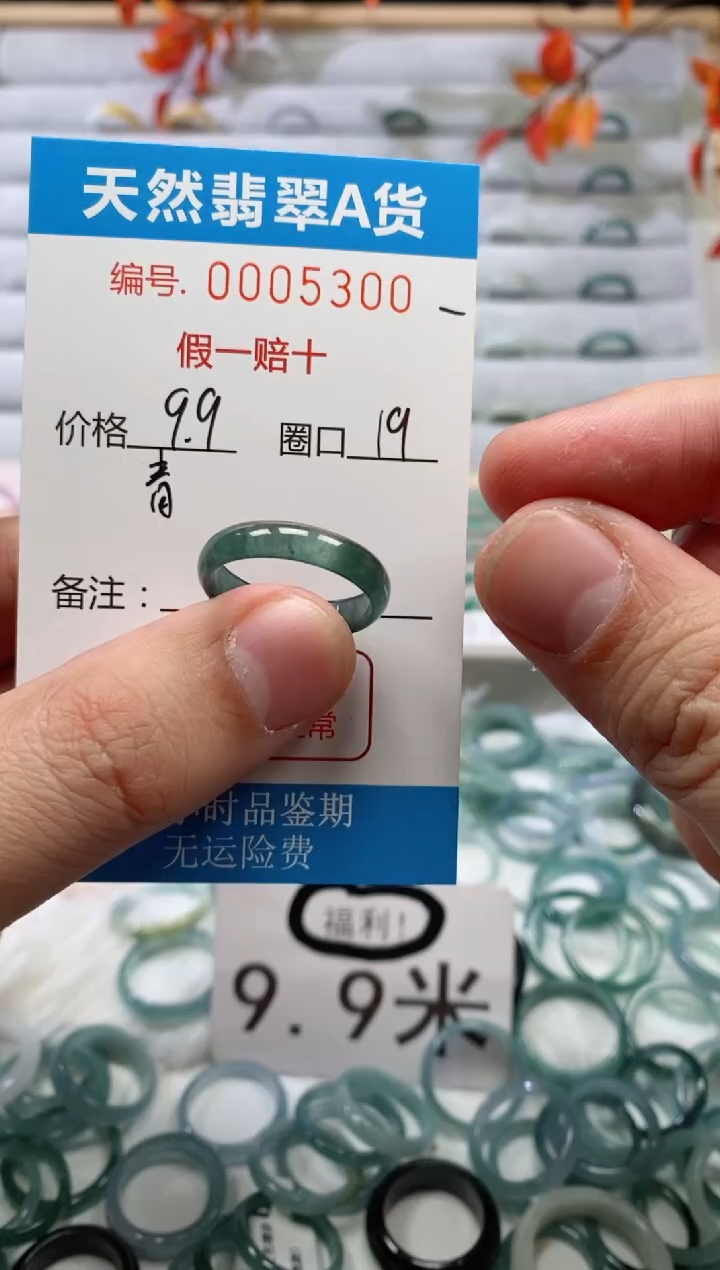 【闪购商品】翡翠戒指未镶嵌00005300