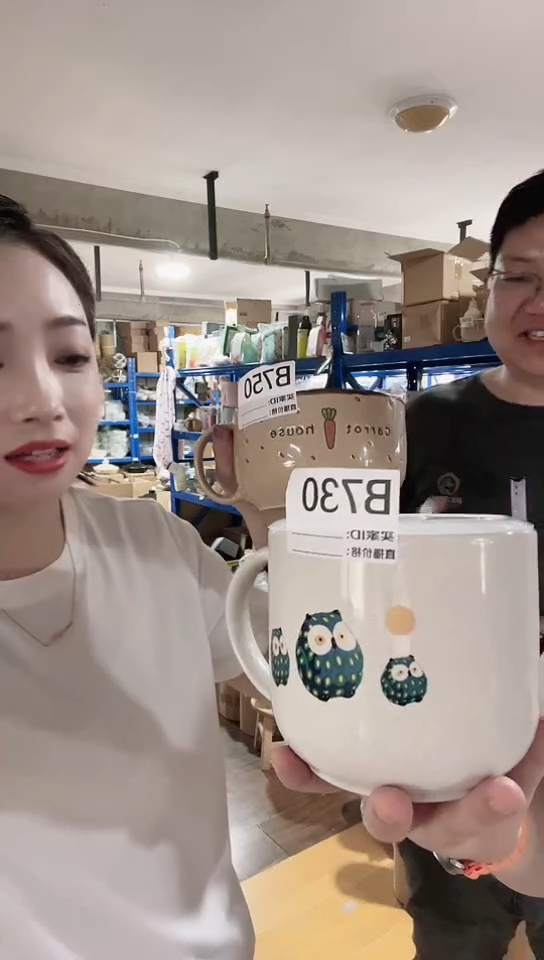 瓷片日本进口瓷器泡面碗猫头鹰B730（新款