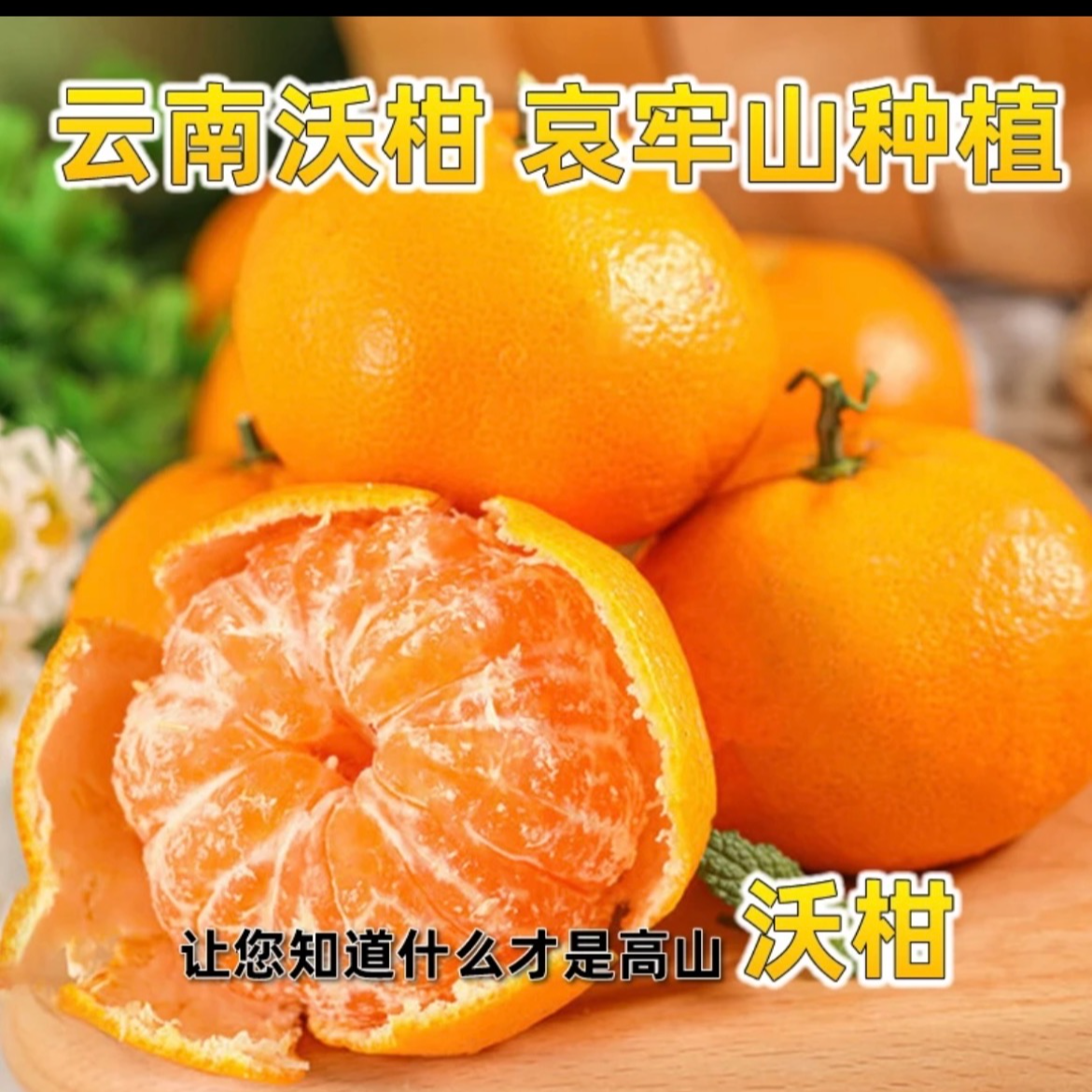 云南哀牢山沃柑高原沃柑纯甜多汁新鲜采摘柑橘应季水果整箱包邮