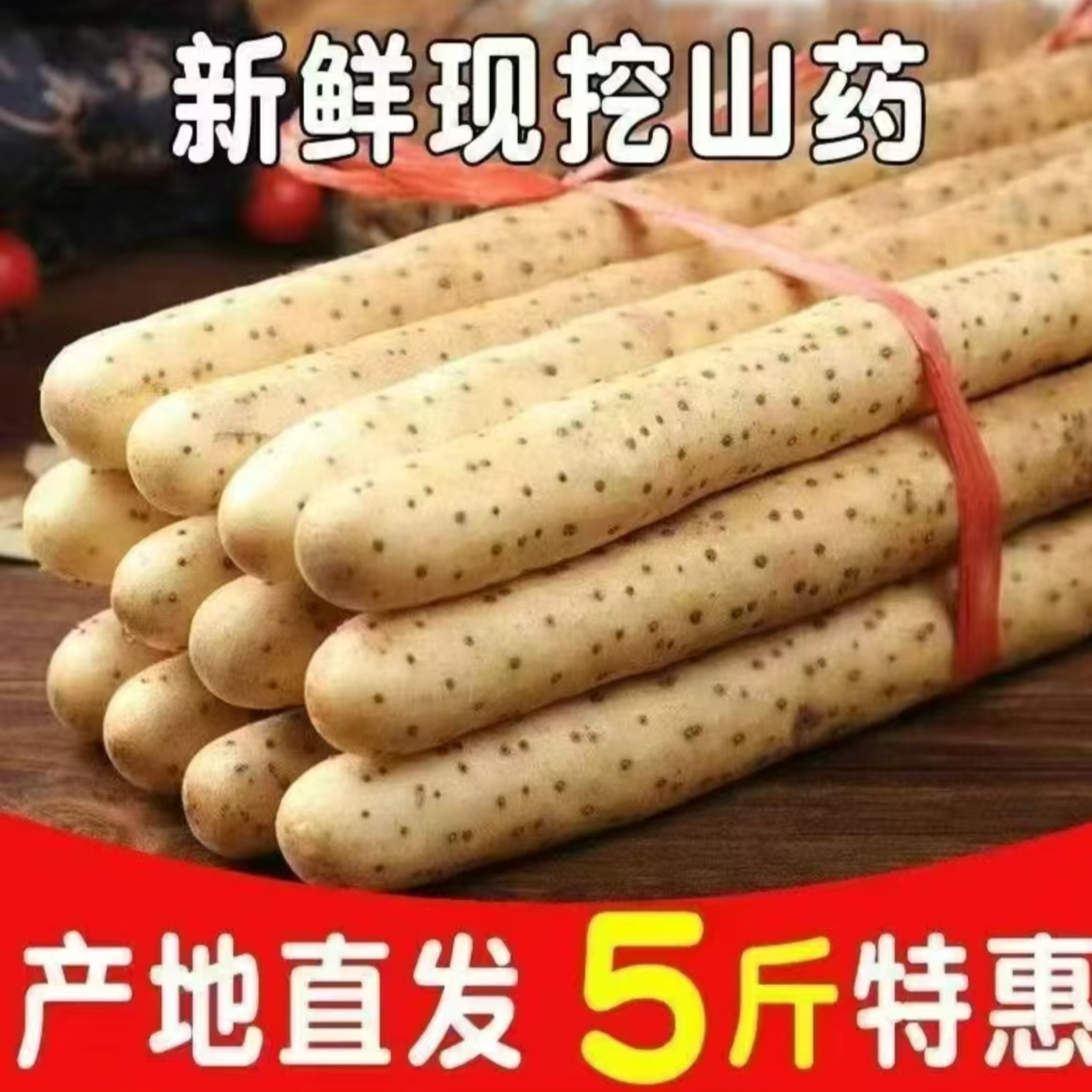 正宗铁棍山药小白嘴山药淮山药新鲜种植产地直发带土5斤