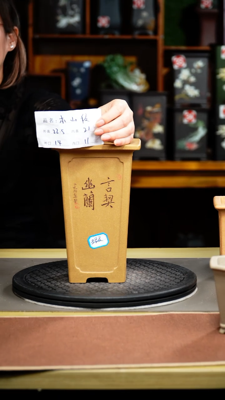紫砂花盆沧**锋紫砂花盆