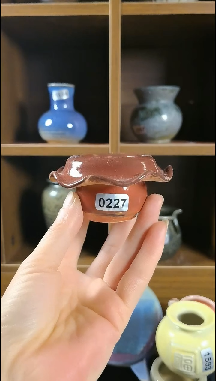 【闪购商品】红陶0227