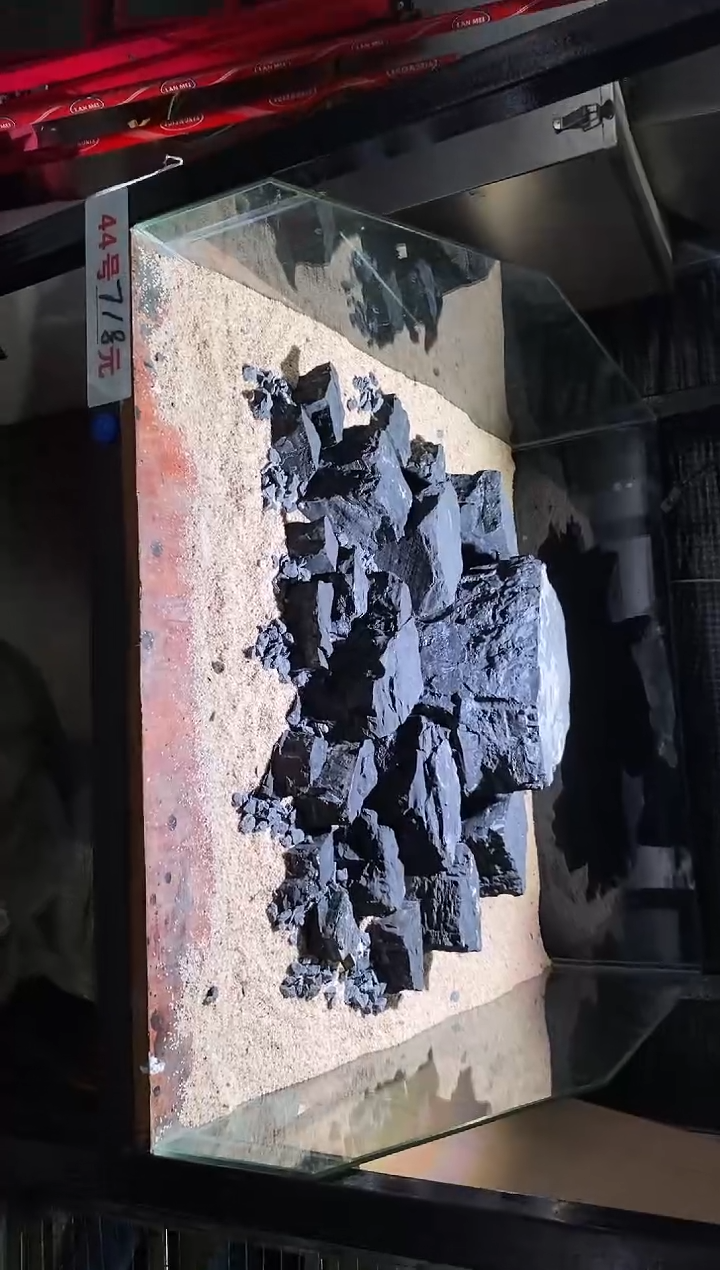 44号鱼缸造景（不含底砂）