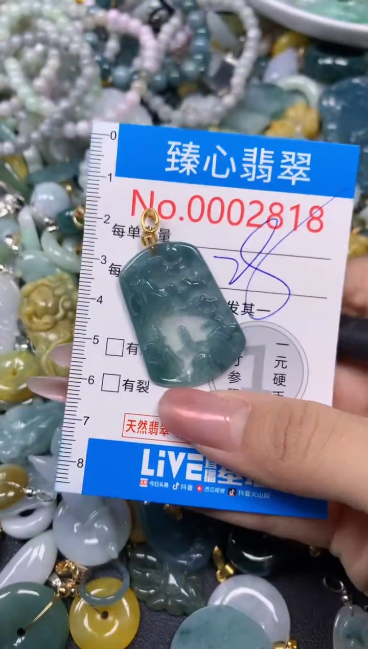 【闪购商品】翡翠颈饰未镶嵌含绳0002818