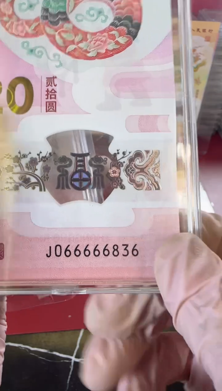 【闪购商品】塑料2025蛇钞单张裸啊啊啊啊啊啊