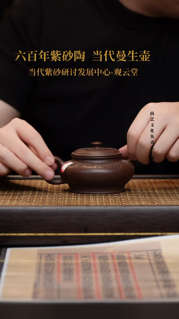茶壶紫砂紫砂茶壶 冰窖底槽清 虚扁