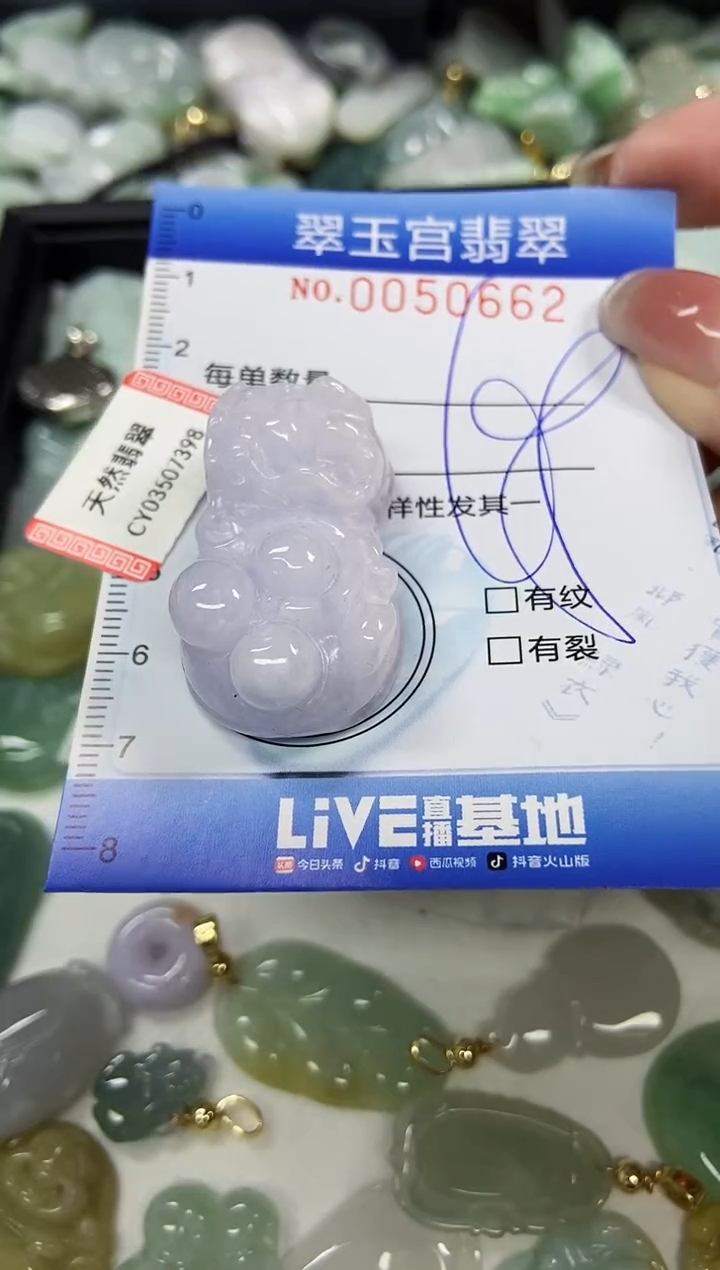 【闪购商品】翡翠颈饰未镶嵌闪购0050662