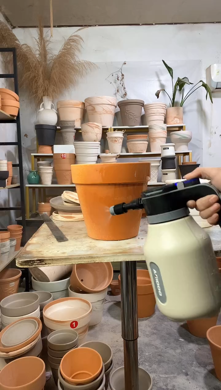 23*21红陶国际 1盆无托