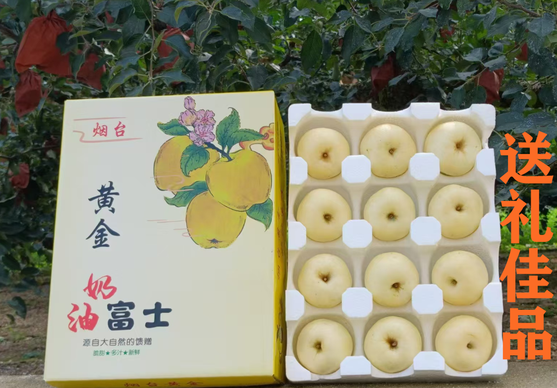 【中秋礼盒装】山东烟台正宗奶油富士苹果脆甜多汁新鲜当季水果苹果