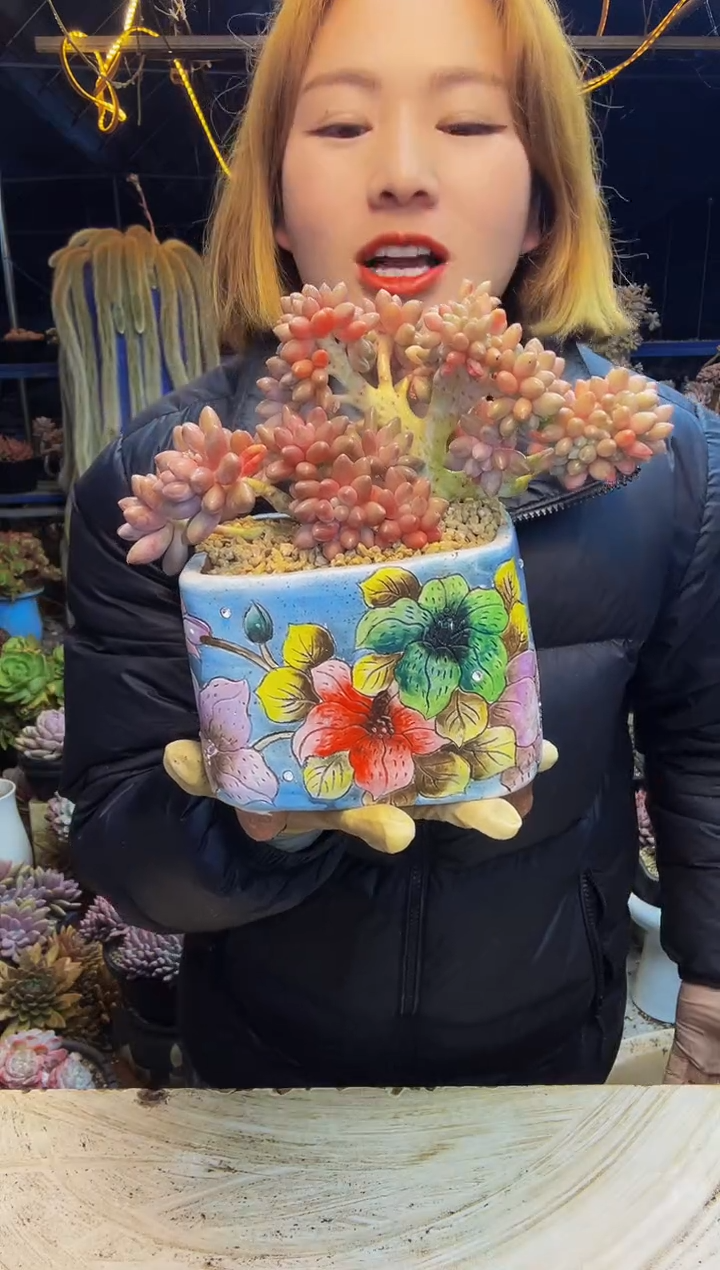 商****坊星黛露缀一物一拍商场