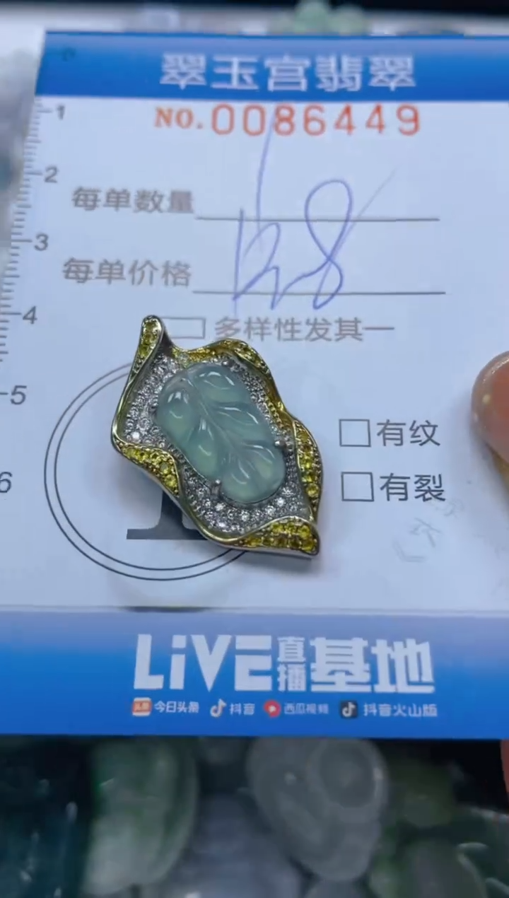 【闪购商品】翡翠颈饰未镶嵌闪购0086449