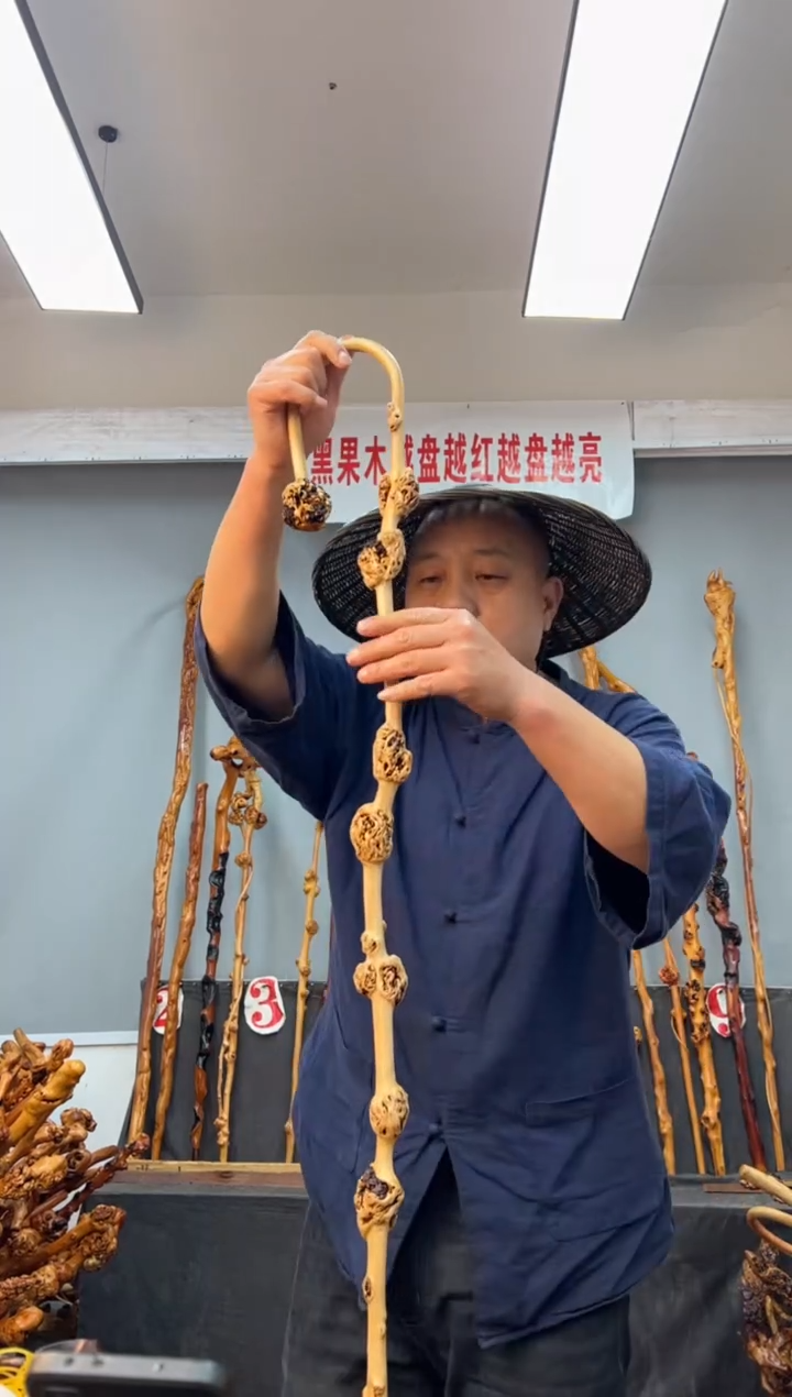 【闪购商品】黑果木其他黑果木072