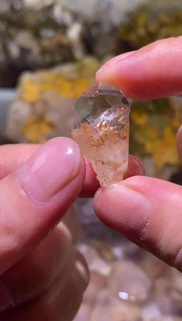 未镶嵌珠宝半成品水晶75号骸骨花园