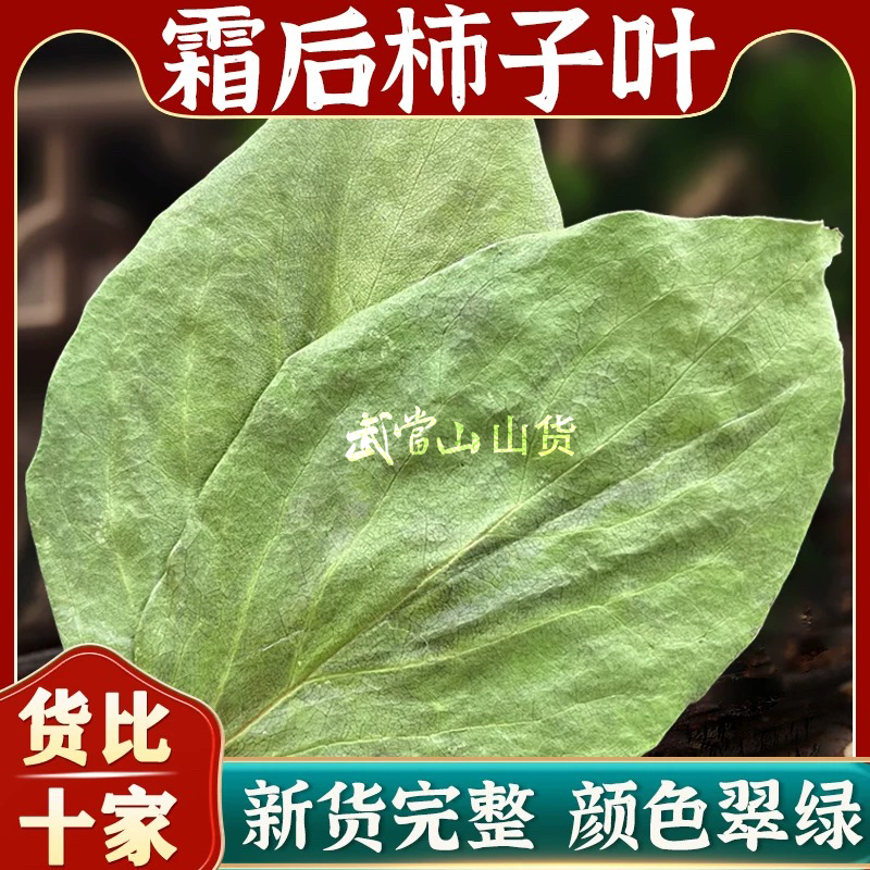 整叶柿子叶茶柿叶霜后当季柿子树叶青绿色干货大片柿子叶干山楂