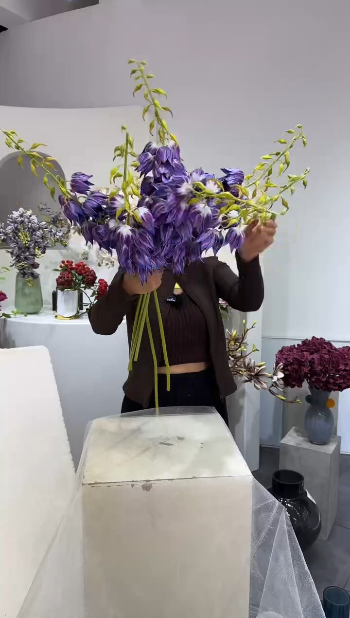 【闪购商品】藤6支深紫香草风铃