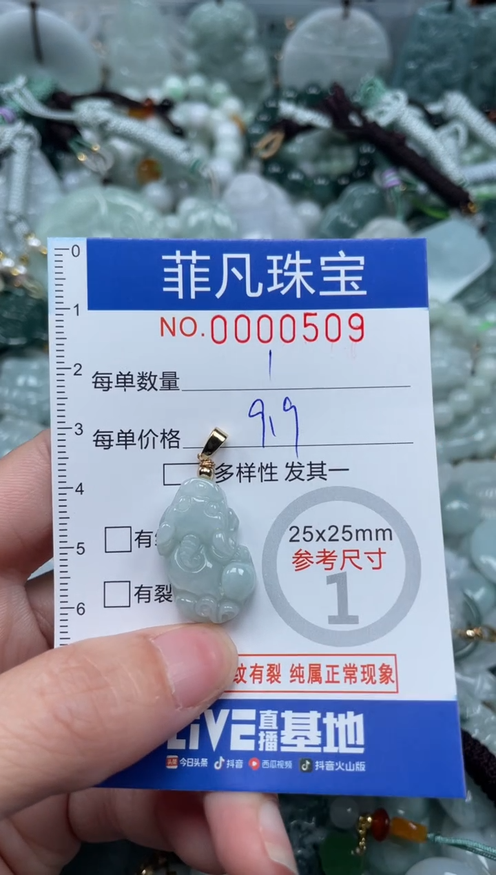 【闪购商品】翡翠颈饰未镶嵌00..0509