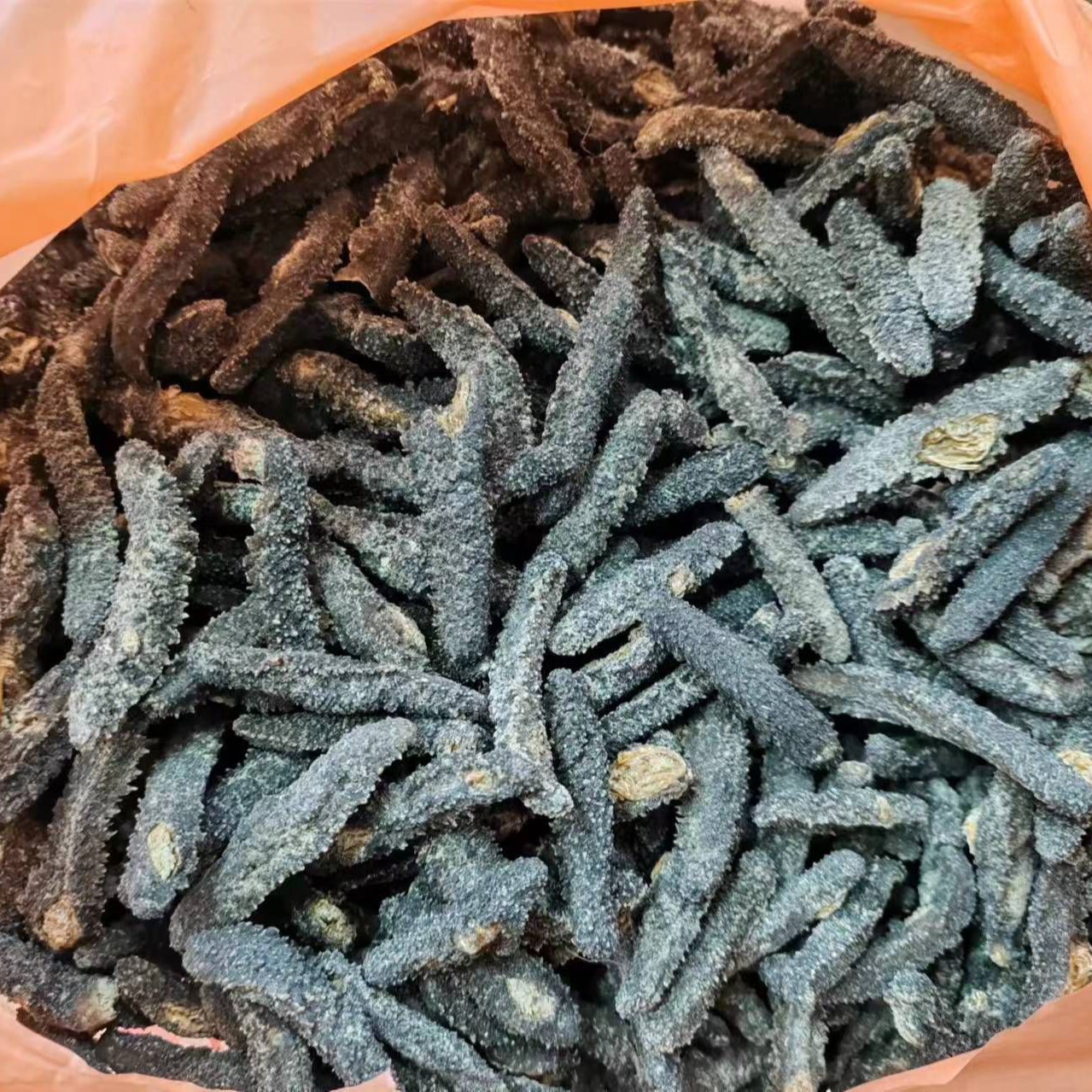 红姐精选 深海海参