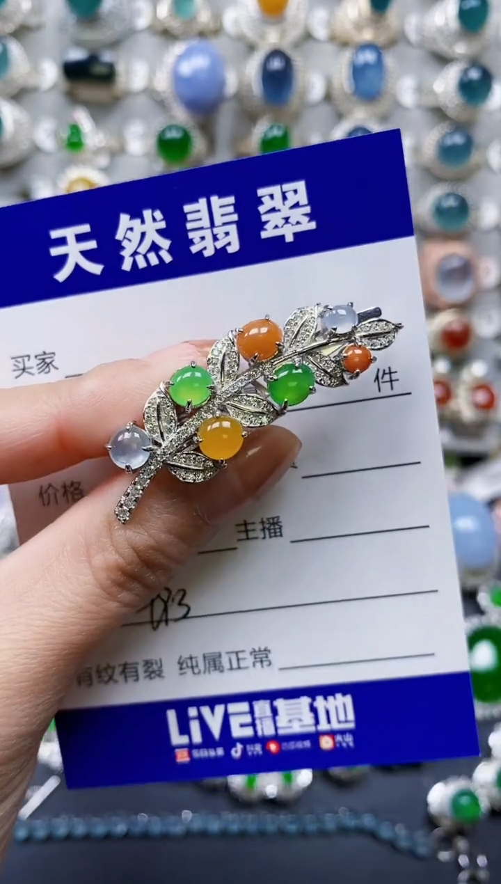 【闪购商品】翡翠颈饰银S925镶嵌0493