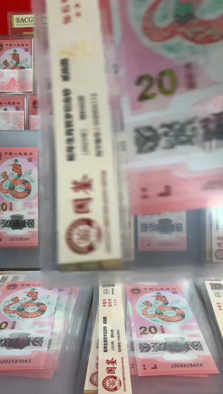 【闪购商品】塑料蛇钞 真钞【单张】5112