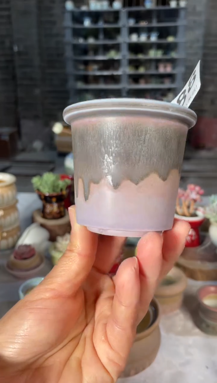 瓷片588小芳直播编号