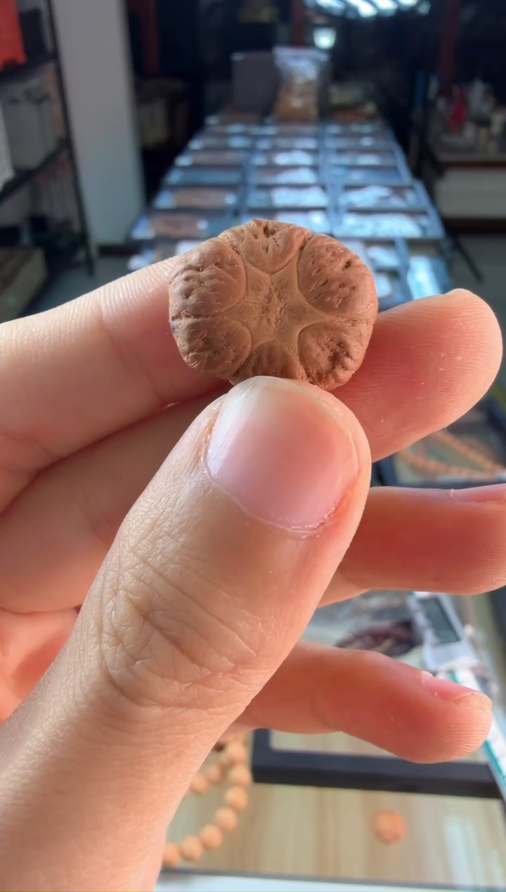 手串凤眼菩提编号4654一物一图 稀有六芒星 毕业三通 20.4