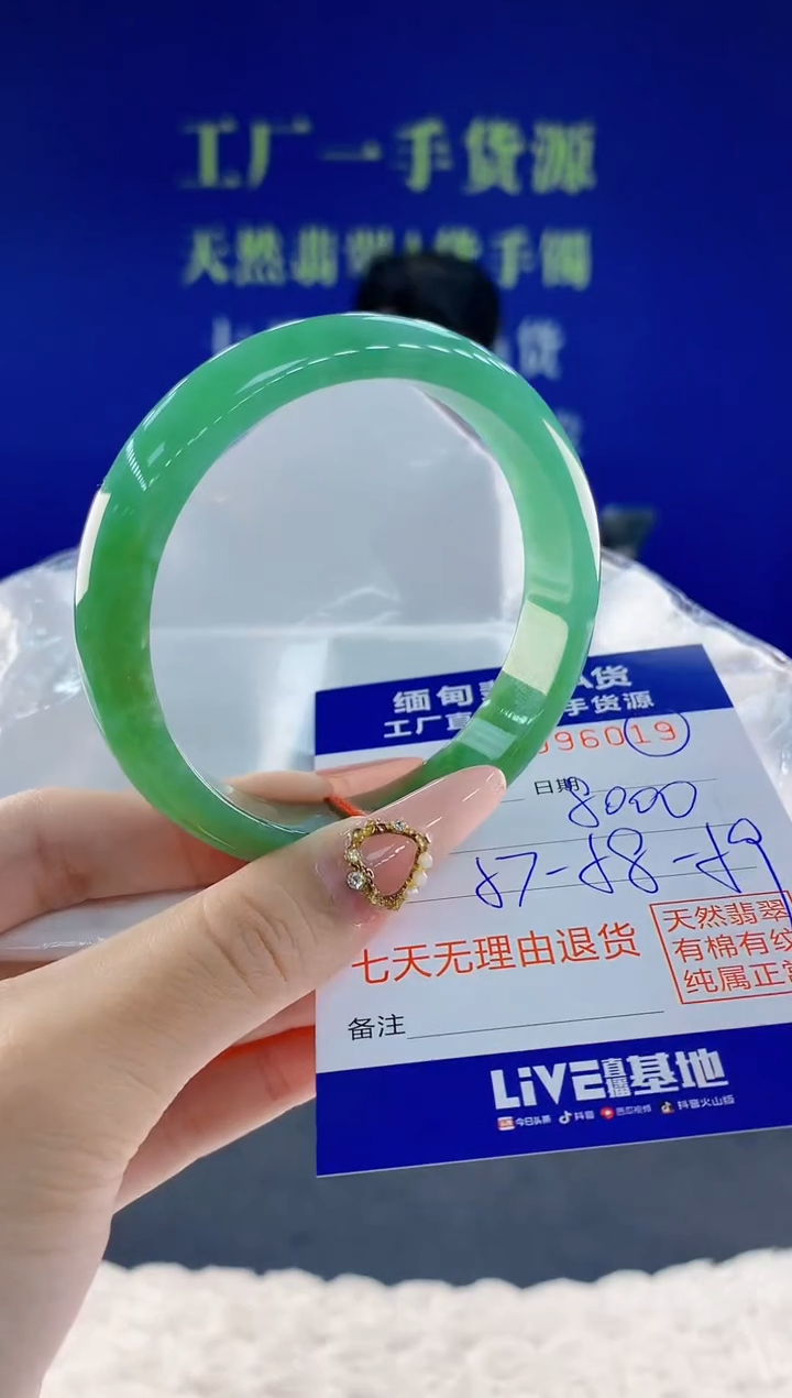 未镶嵌手镯翡翠19