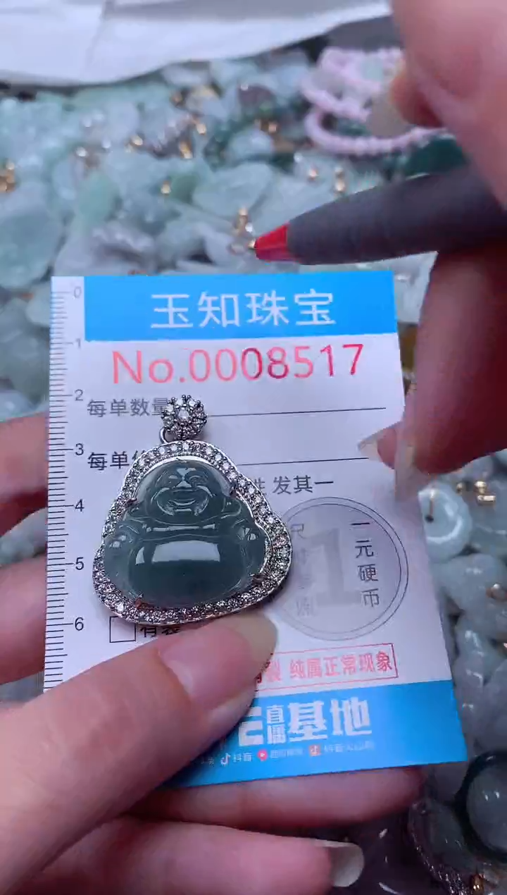 翡翠未镶嵌吊坠(不含链)8517