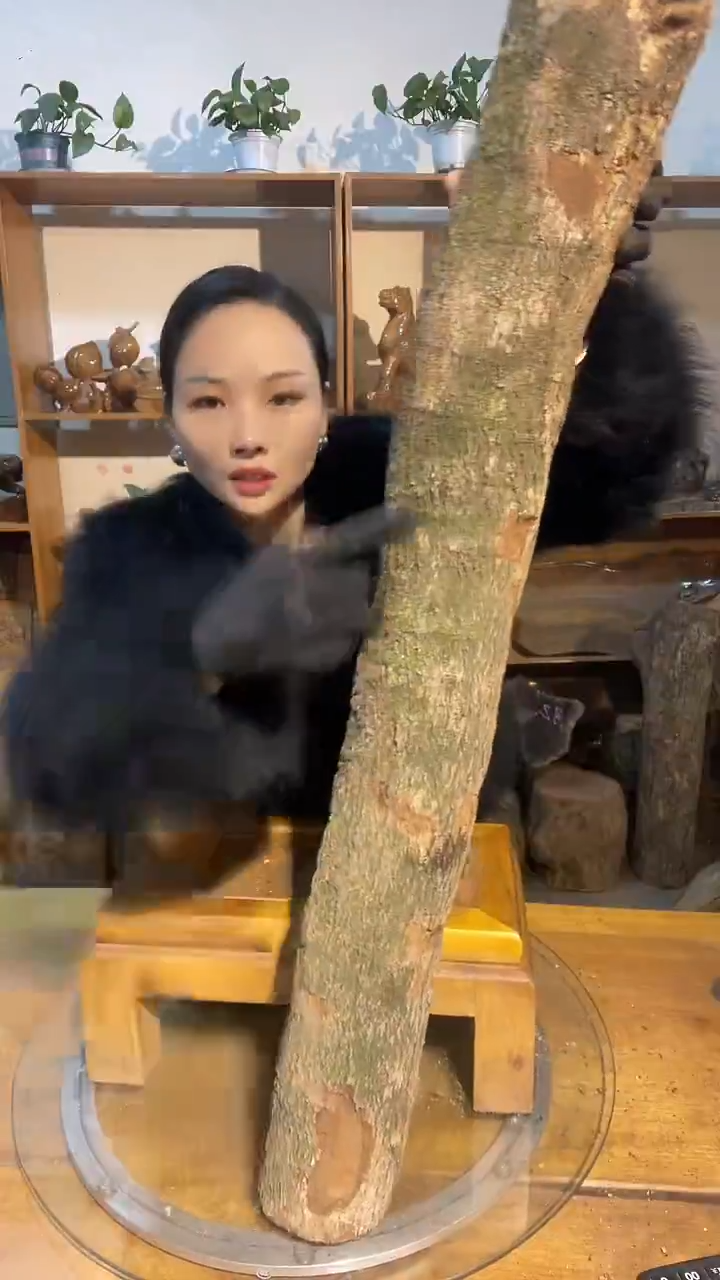 阿祥金丝楠木闪购链接