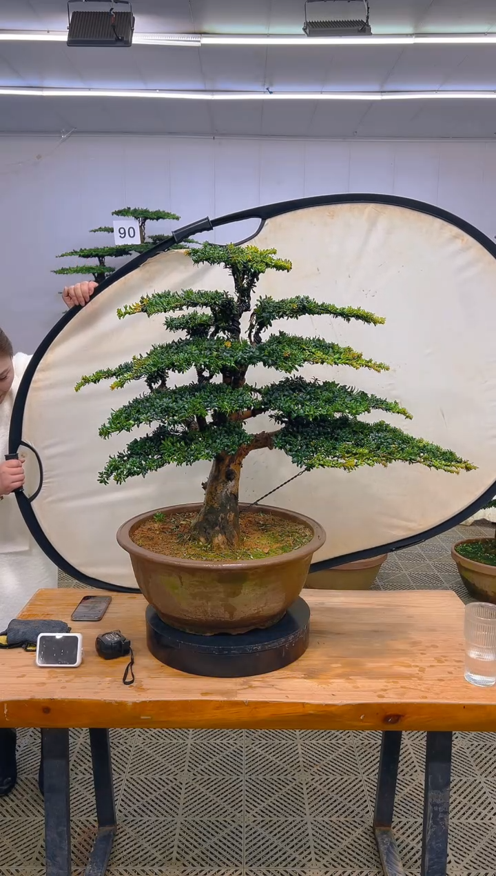 无花朵自***在一物一拍一物一拍