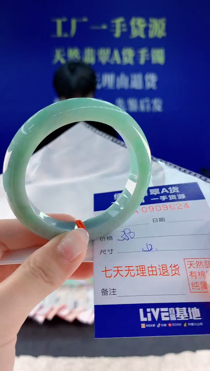 未镶嵌手镯翡翠24