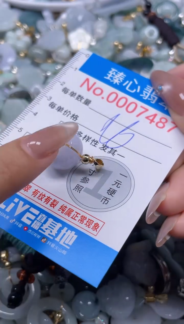 颈饰未镶嵌翡翠7487