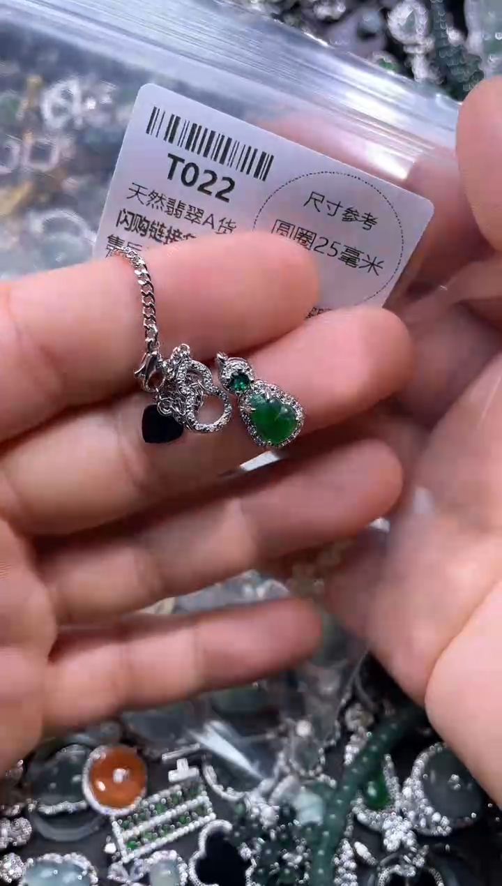 【闪购商品】翡翠颈饰未镶嵌T022项链