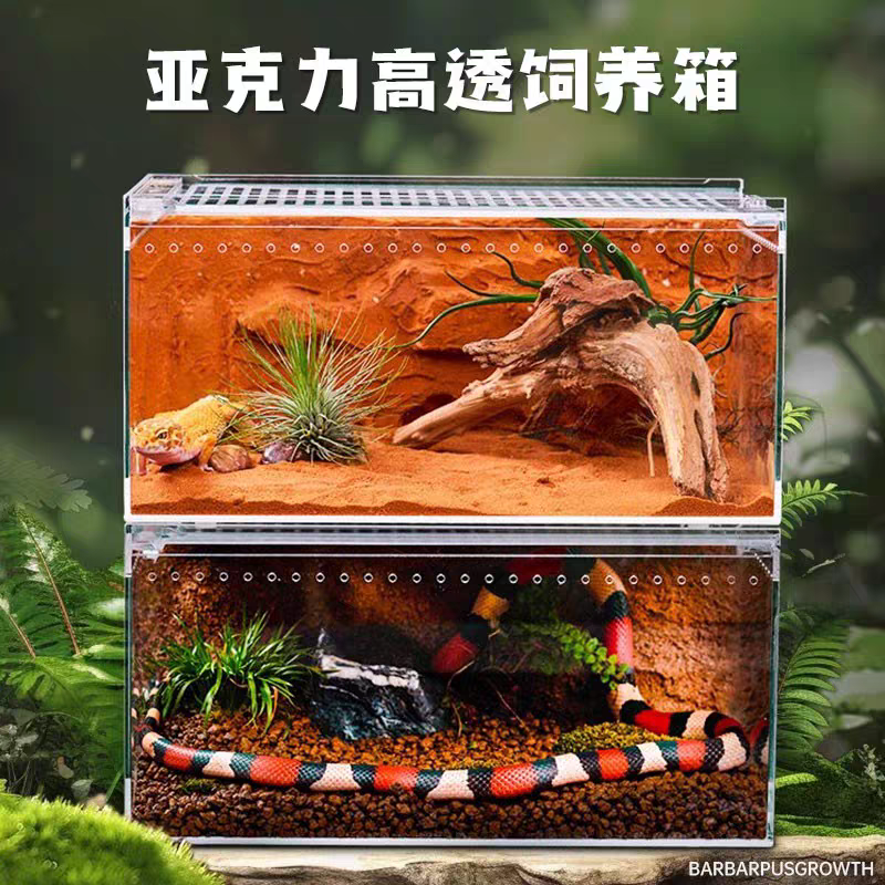 爬宠亚克力饲养盒7件套适用于守宫寄居蟹宠物蛇角蛙等宠物