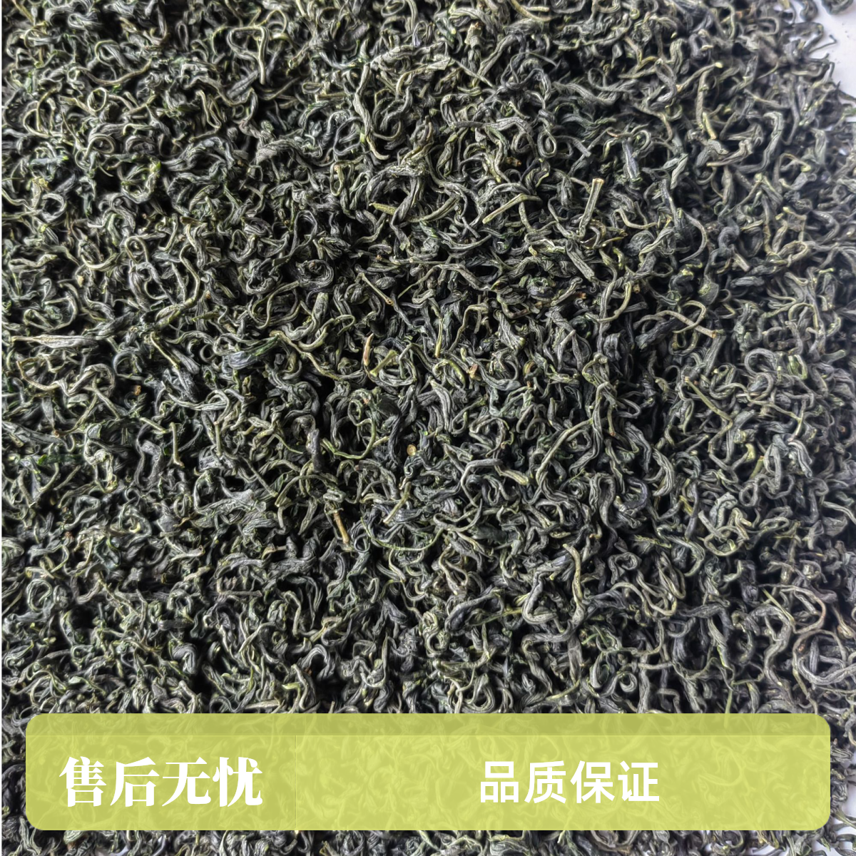 新茶浓香型宜昌高香绿茶叶茶香浓郁超高性价比口粮茶耐泡