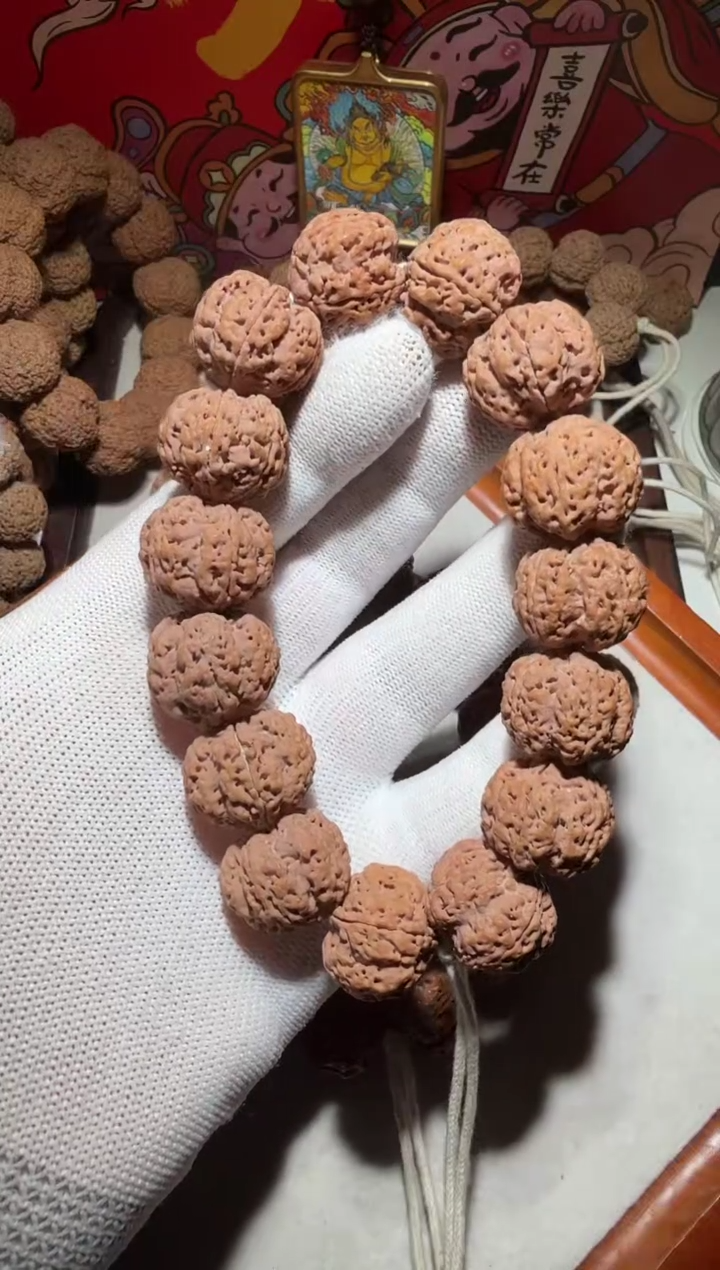 【闪购商品】金刚菩提手串超头粗筋梅花双龙21