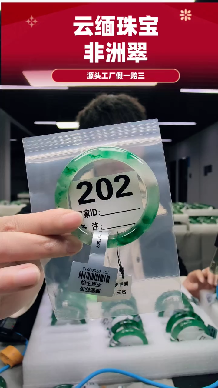 未镶嵌手镯石英质玉（非洲翠）55圈口202