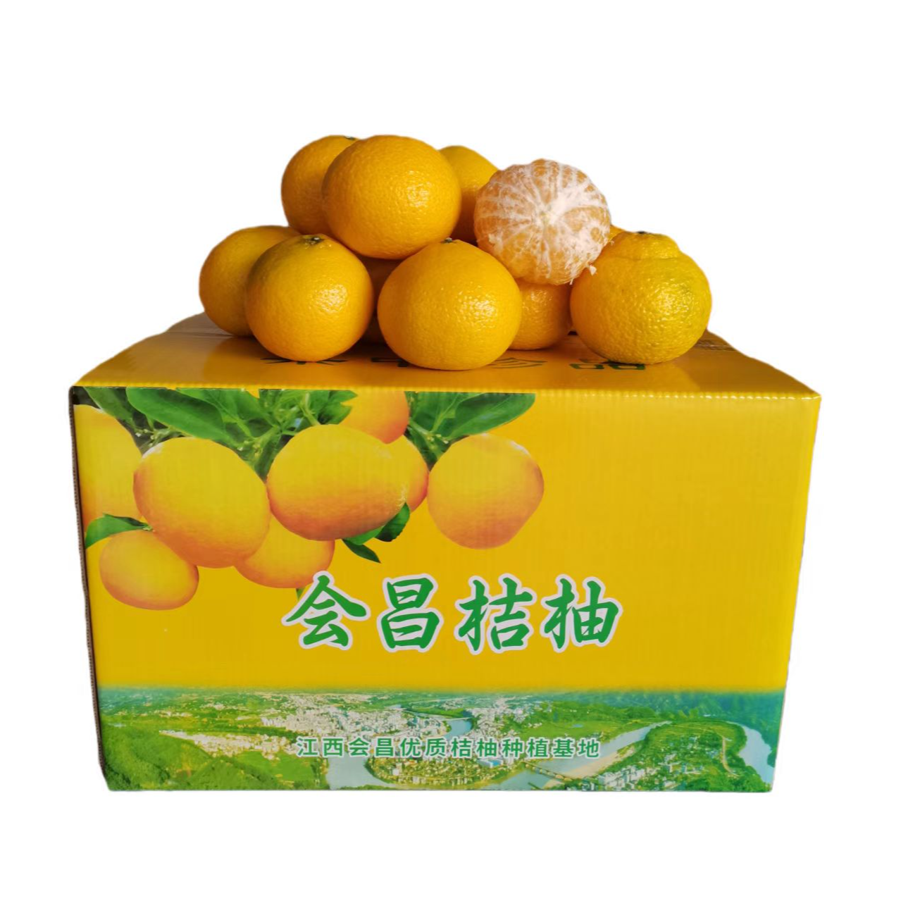 【静静姐专属】正宗会昌桔柚赣南甜橘柚孕妇水果清甜爽口会昌发货