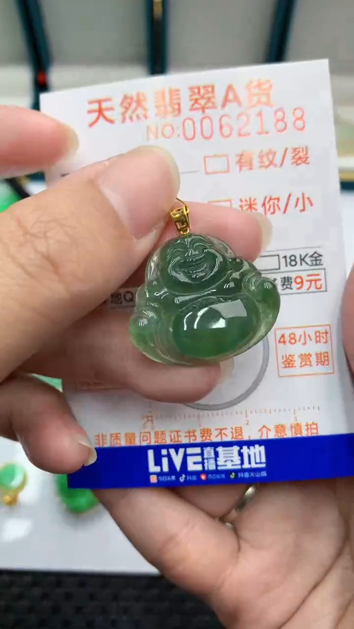 【闪购商品】翡翠颈饰18K金镶嵌            8