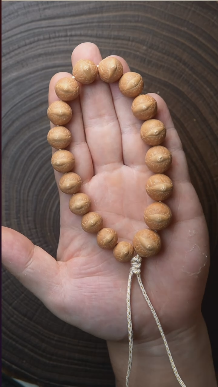 手串凤眼菩提杨*侠63号凤眼轮回手串