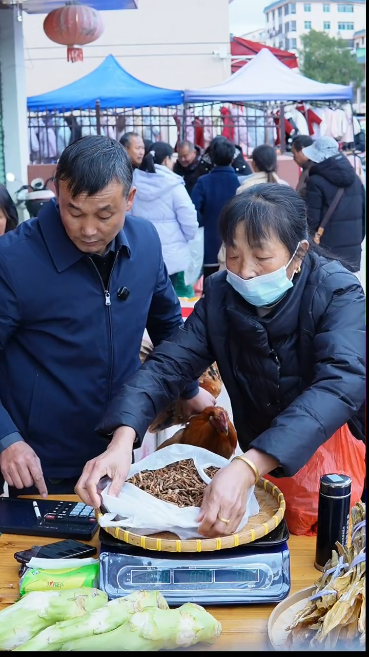 中国大陆豆角干1斤