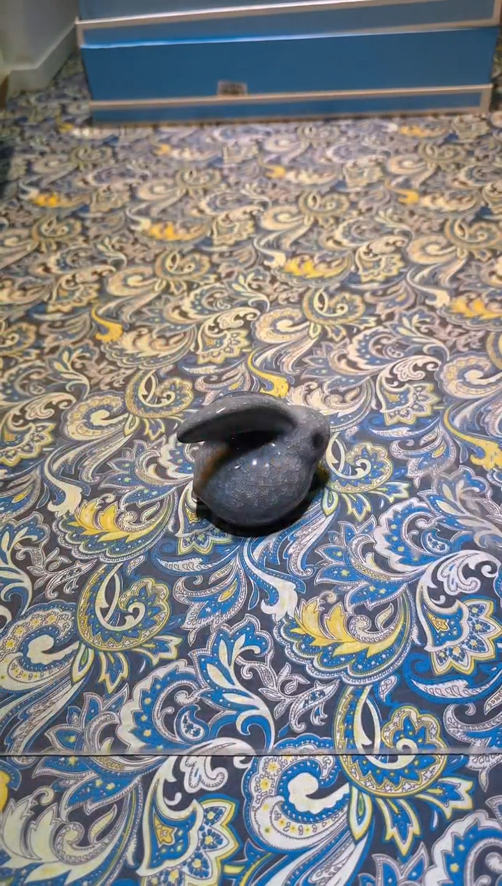 【闪购商品】瓷片111111111111111