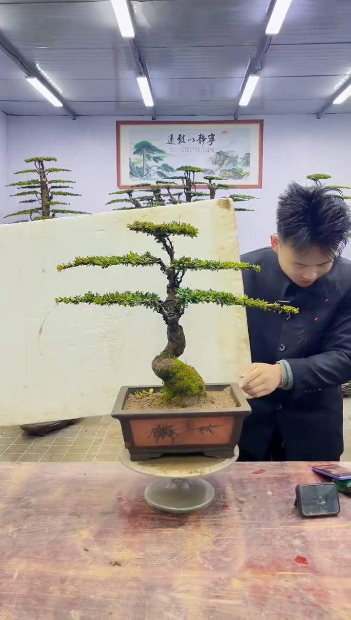 【闪购商品】一物一拍，所见即所得