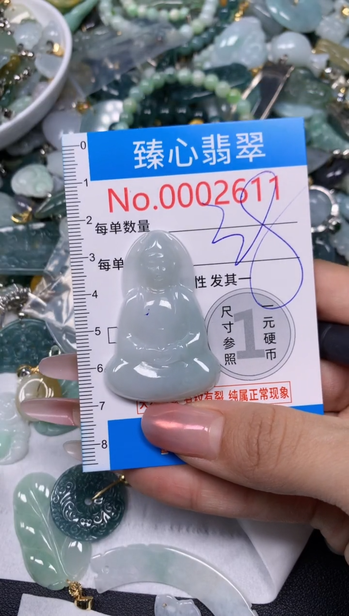 【闪购商品】翡翠颈饰未镶嵌含绳0002611