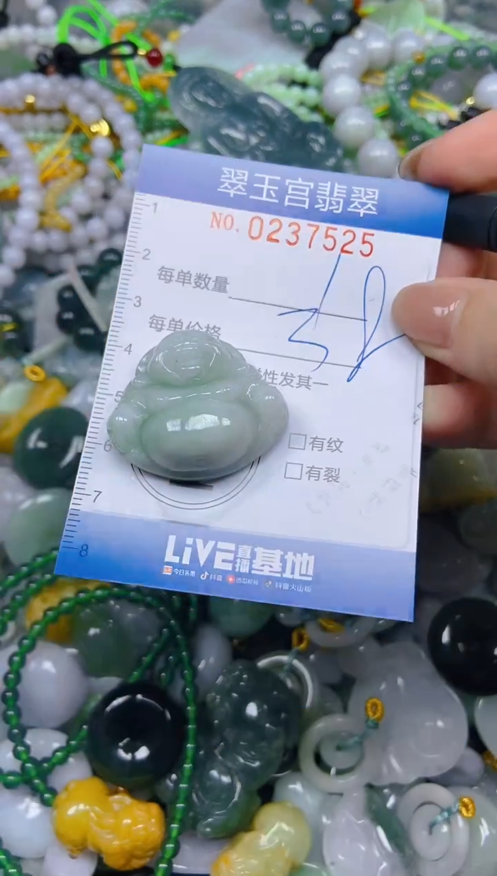 颈饰未镶嵌翡翠闪购C0237525
