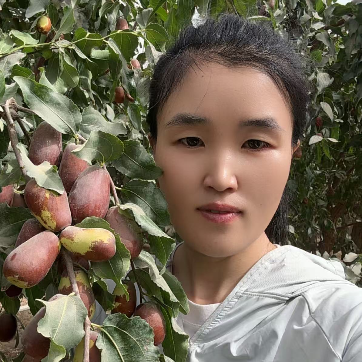 新疆和田大枣鲜枣5斤【蒸着吃更好吃】航空空运包邮原产地直发