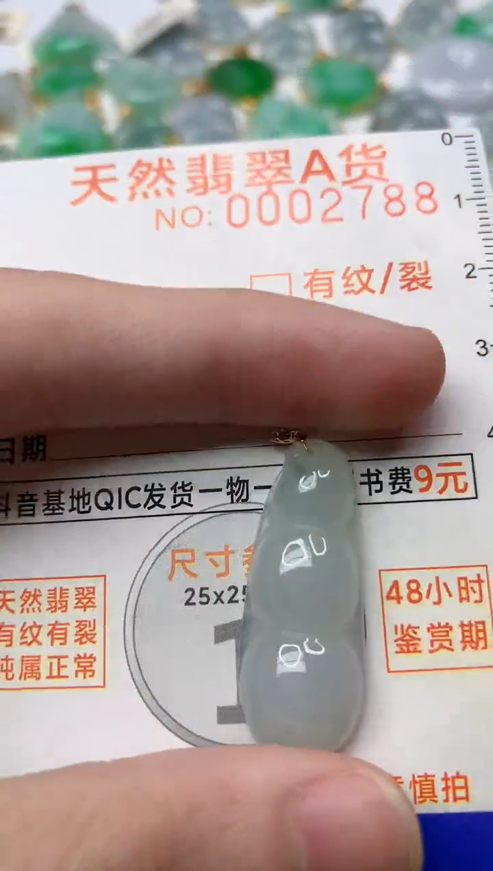 【闪购商品】翡翠颈饰18K金镶嵌2.............