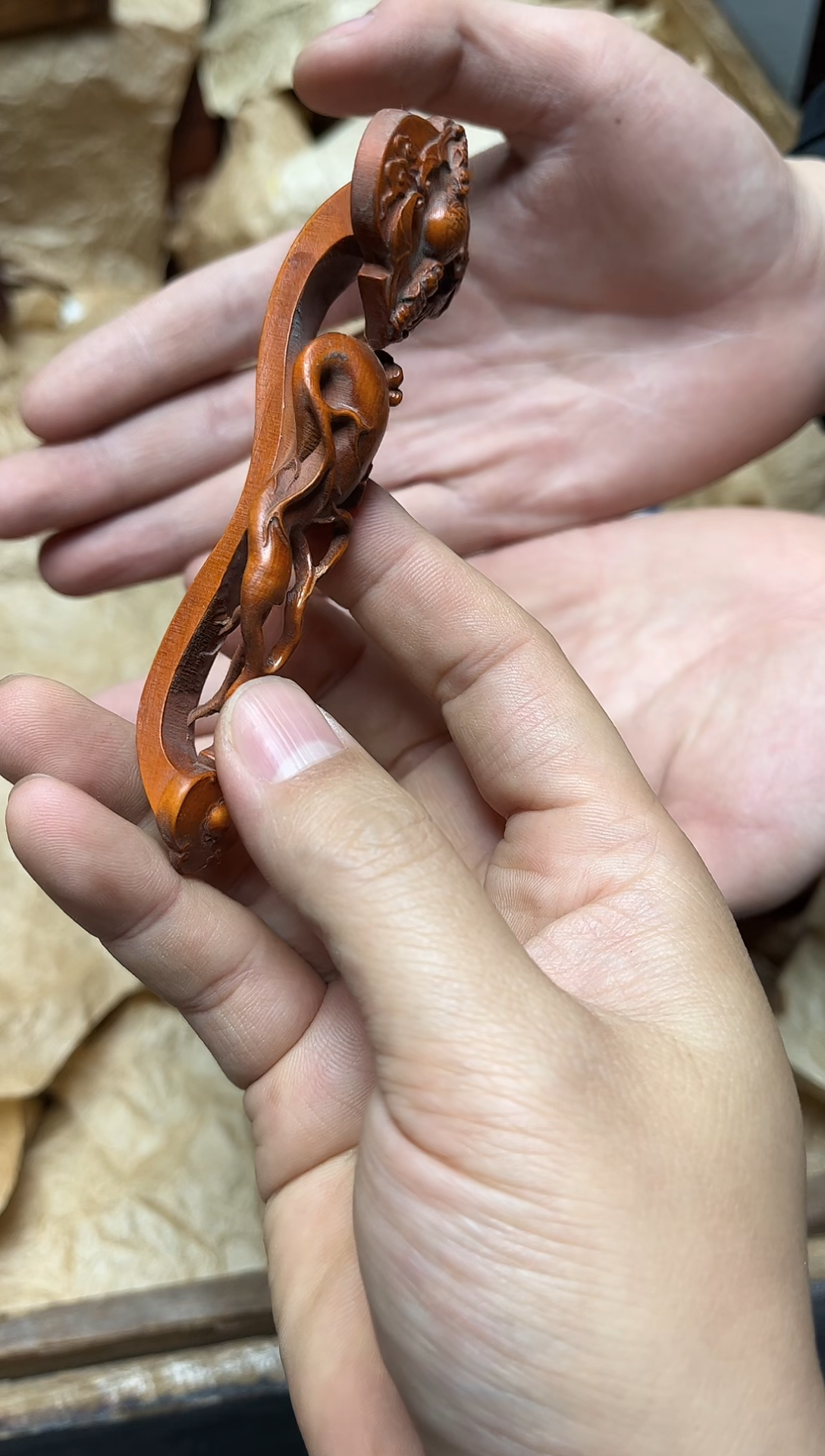 黄杨木八号甄选八号甄选