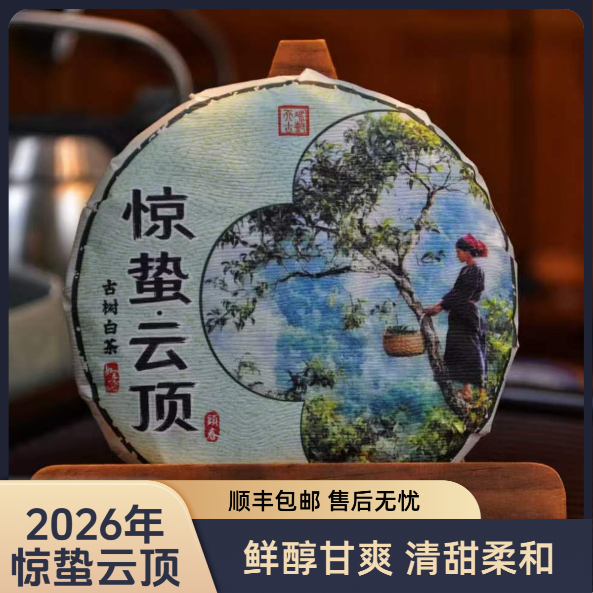 2026年《惊蛰云顶殿藏级古树白茶》 入口清甜//茶汤厚重//云南白茶